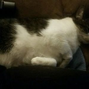 Meet your Posher, Terra